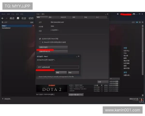 steam上玩国服dota2怎么设置启动项_dota2国服在哪个平台玩？